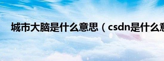城市大脑是什么意思（csdn是什么意思）