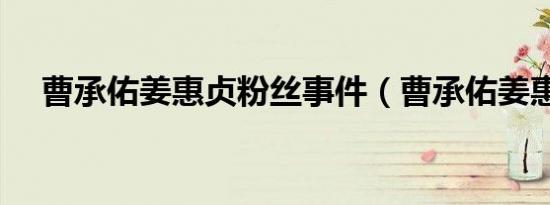 曹承佑姜惠贞粉丝事件（曹承佑姜惠贞）