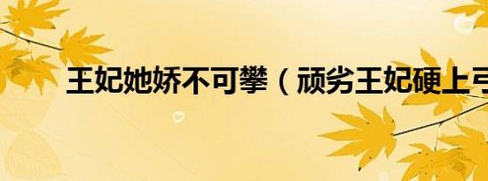 王妃她娇不可攀（顽劣王妃硬上弓）