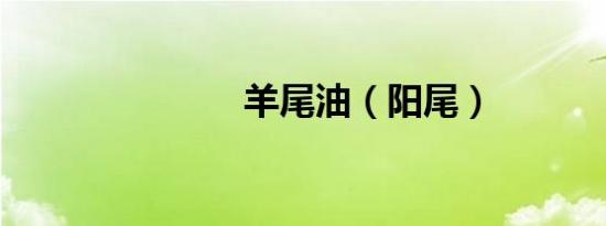 羊尾油（阳尾）