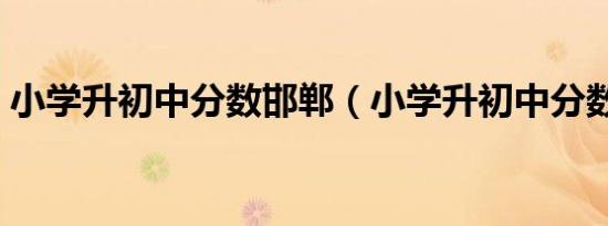 小学升初中分数邯郸（小学升初中分数查询）