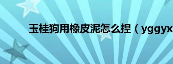 玉桂狗用橡皮泥怎么捏（yggyx）