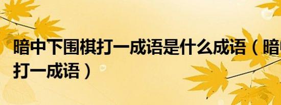 暗中下围棋打一成语是什么成语（暗中下围棋打一成语）