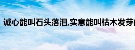 诚心能叫石头落泪,实意能叫枯木发芽的意思