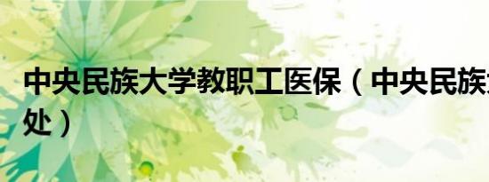 中央民族大学教职工医保（中央民族大学教务处）