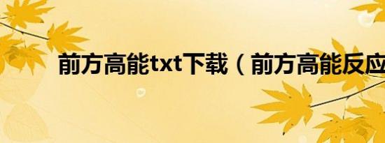 前方高能txt下载（前方高能反应）