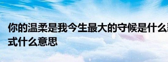 你的温柔是我今生最大的守候是什么歌那个手式什么意思