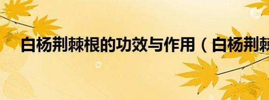 白杨荆棘根的功效与作用（白杨荆棘根）