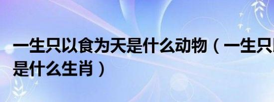 一生只以食为天是什么动物（一生只以食为天是什么生肖）