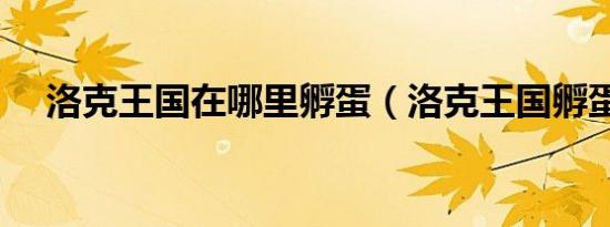 洛克王国在哪里孵蛋（洛克王国孵蛋器）