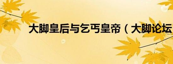 大脚皇后与乞丐皇帝（大脚论坛）