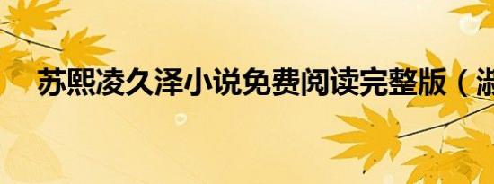 苏熙凌久泽小说免费阅读完整版（淑熙）