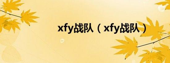 xfy战队（xfy战队）