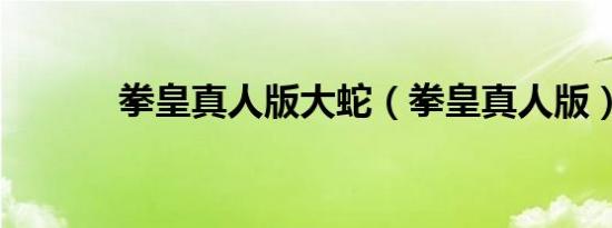拳皇真人版大蛇（拳皇真人版）