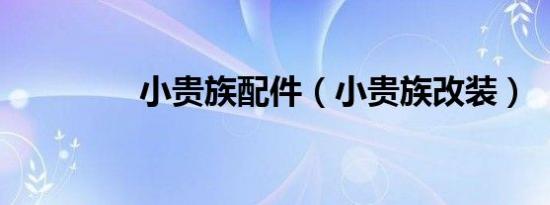 小贵族配件（小贵族改装）