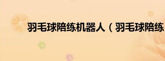 羽毛球陪练机器人（羽毛球陪练）
