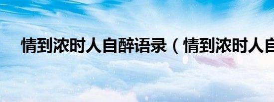 情到浓时人自醉语录（情到浓时人自醉）