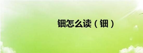 钿怎么读（钿）