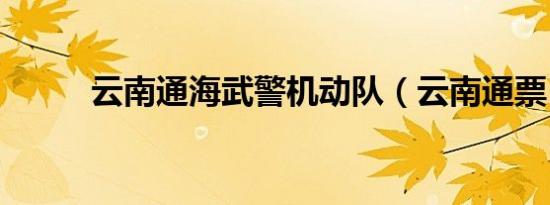 云南通海武警机动队（云南通票）
