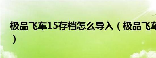 极品飞车15存档怎么导入（极品飞车15存档）