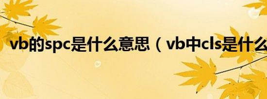 vb的spc是什么意思（vb中cls是什么意思）