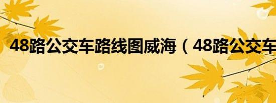 48路公交车路线图威海（48路公交车路线）