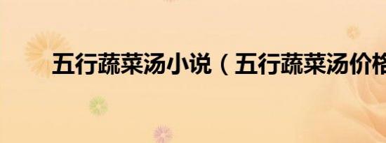 五行蔬菜汤小说（五行蔬菜汤价格）