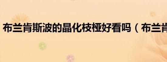 布兰肯斯波的晶化枝桠好看吗（布兰肯斯波）