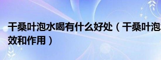 干桑叶泡水喝有什么好处（干桑叶泡水喝的功效和作用）