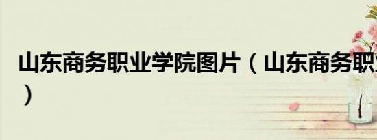 山东商务职业学院图片（山东商务职业学院吧）