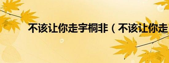 不该让你走宇桐非（不该让你走）