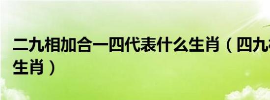 二九相加合一四代表什么生肖（四九相助打一生肖）
