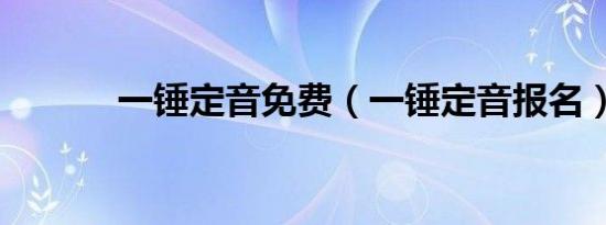 一锤定音免费（一锤定音报名）