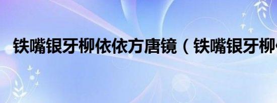 铁嘴银牙柳依依方唐镜（铁嘴银牙柳依依）