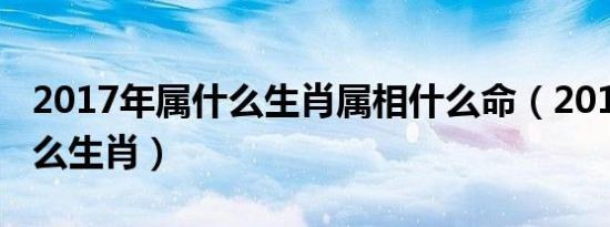 2017年属什么生肖属相什么命（2017年属什么生肖）