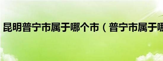 昆明普宁市属于哪个市（普宁市属于哪个市）
