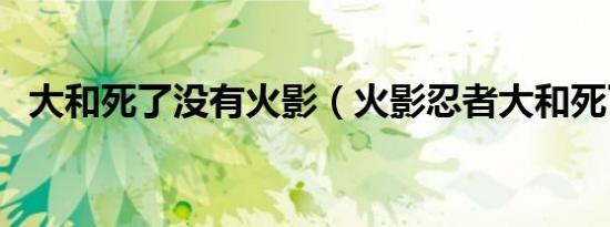 大和死了没有火影（火影忍者大和死了吗）