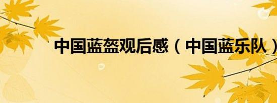 中国蓝盔观后感（中国蓝乐队）