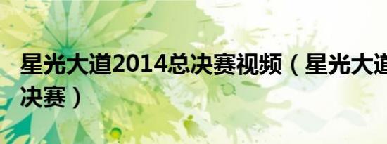 星光大道2014总决赛视频（星光大道2014总决赛）