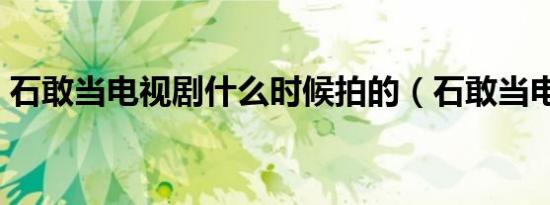 石敢当电视剧什么时候拍的（石敢当电视剧）