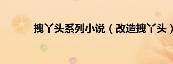 拽丫头系列小说（改造拽丫头）