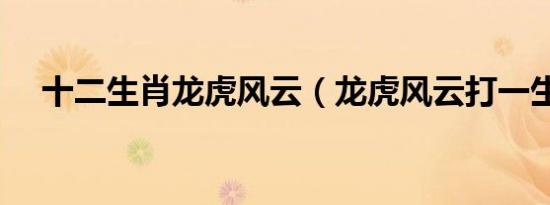 十二生肖龙虎风云（龙虎风云打一生肖）