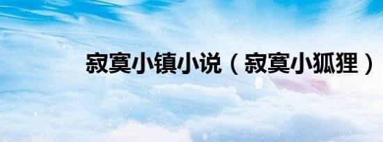 寂寞小镇小说（寂寞小狐狸）