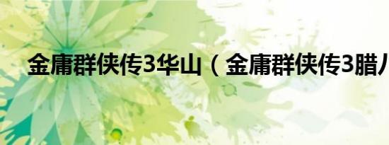 金庸群侠传3华山（金庸群侠传3腊八粥）