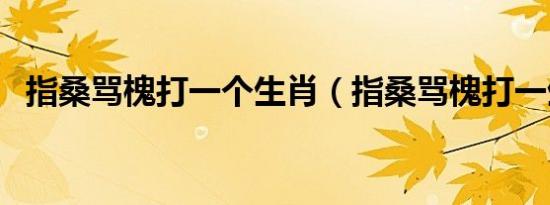 指桑骂槐打一个生肖（指桑骂槐打一生肖）