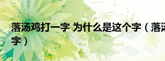 落汤鸡打一字 为什么是这个字（落汤鸡打一字）