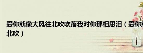 爱你就像大风往北吹吹落我对你那相思泪（爱你就像大风往北吹）