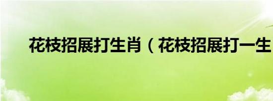 花枝招展打生肖（花枝招展打一生肖）