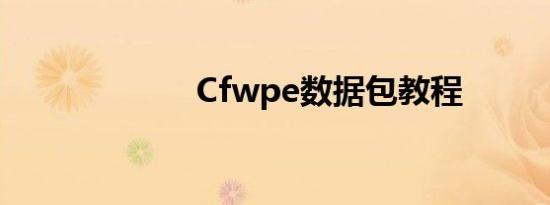 Cfwpe数据包教程