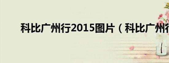 科比广州行2015图片（科比广州行）